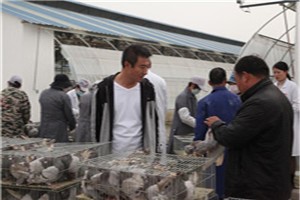 http://m.mehoolife.cn/kehujianzheng/2020/1030/1582.html